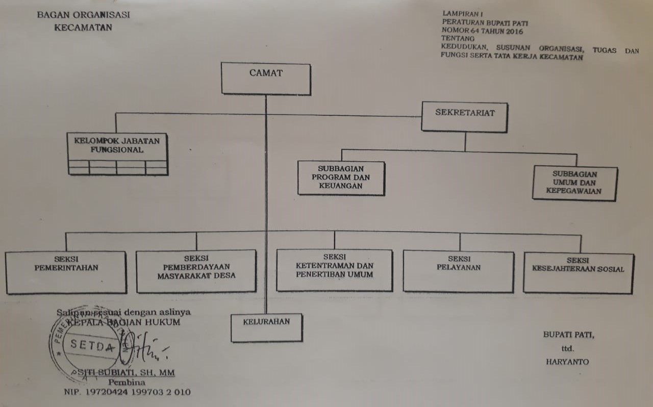 Struktur Organisasi